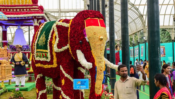 Lalbagh Flower Show 2024 Lalbagh Flower Show 2024