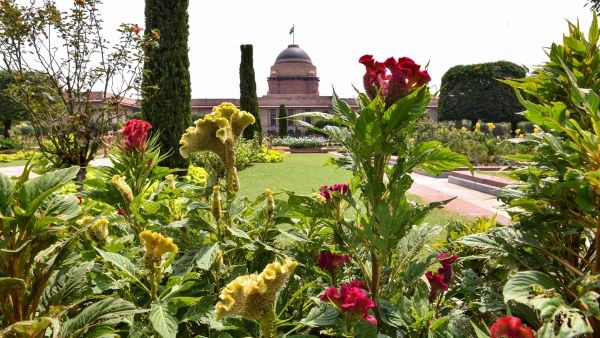 A Floral Haven at Rashtrapati Bhavan