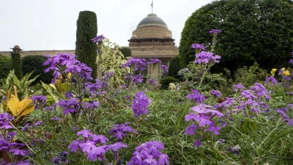 A Floral Haven at Rashtrapati Bhavan