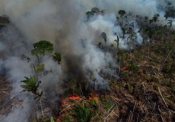 Amazon basin are at historic lows