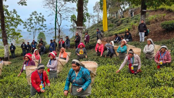 The Best Time to Visit Darjeeling for Festivals and Culture