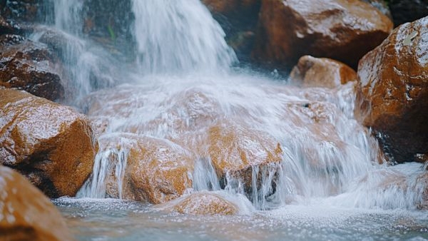 Kumbhavurutty Falls Reopens in Kerala Kumbhavurutty Falls Reopens in Kerala