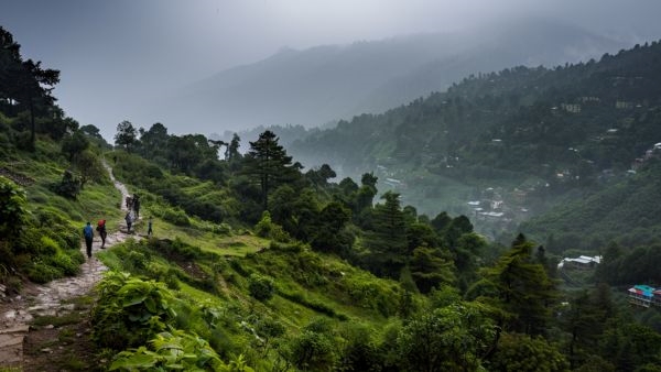 Garbhanga Forest Reserve in Guwahati Garbhanga Forest Reserve in Guwahati