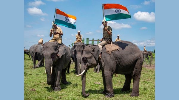 Manas National Park Reopens Manas National Park Reopens