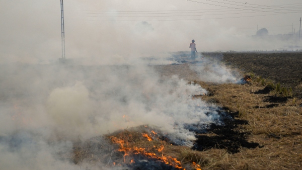 Stubble Burning in Amritsar