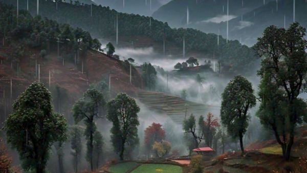Winter in North India from October 24 Winter in North India from October 24