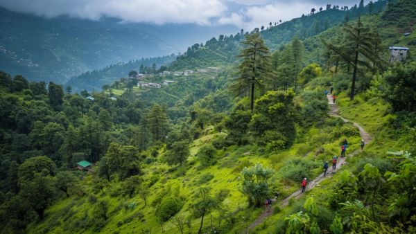 Trek Tamil Nadu Project Now Open