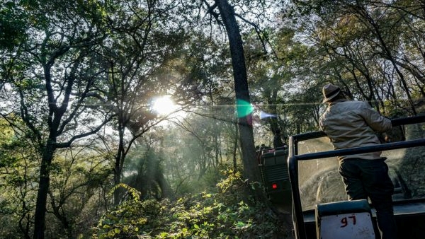 India s First Jungle-Themed Resort