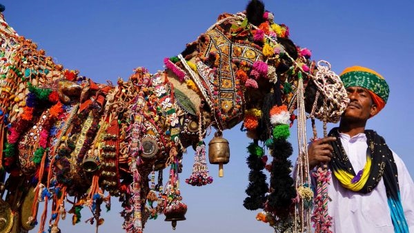 Pushkar Camel Fair 2024 Pushkar Camel Fair 2024
