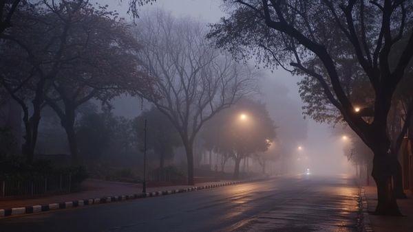 Jaipur Winter Colder Days from Nov 17 Jaipur Winter Colder Days from Nov 17