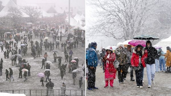 Shimla IMD Predicts Rains Snowfalls