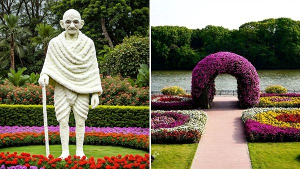 Ahmedabad Flower Show 2025 Tickets Ahmedabad Flower Show 2025 Tickets