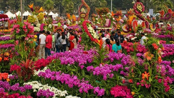 Mumbai Flower Festival 2025