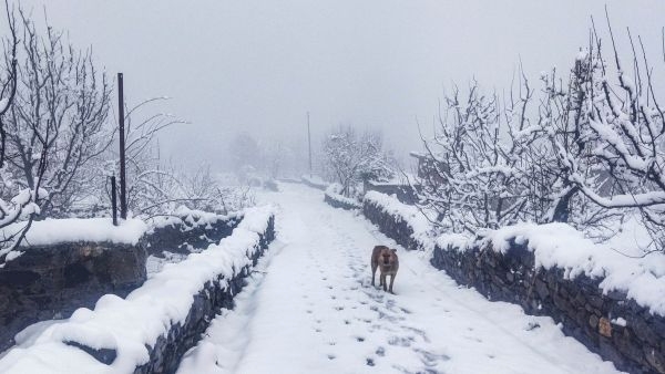 Himachal Pradesh on Alert