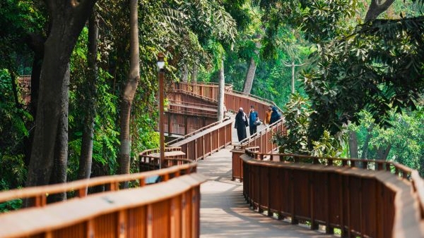 Mumbai s 1st Elevated Nature Trail Opens Mumbai s 1st Elevated Nature Trail Opens