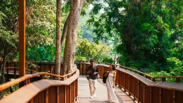 Mumbai s 1st Elevated Nature Trail Opens Mumbai s 1st Elevated Nature Trail Opens