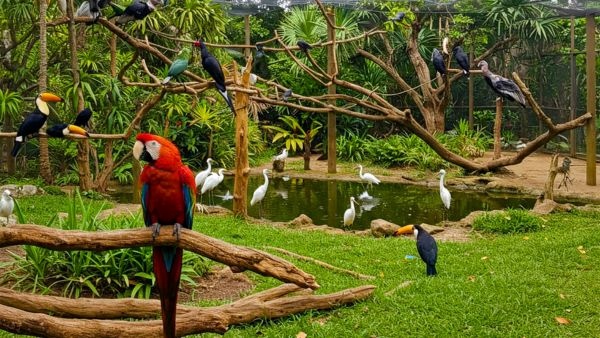 Mumbai to Welcome Its First Bird Park