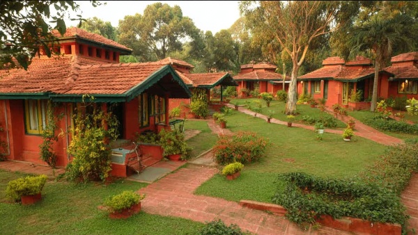 Explore 5 Unique Resorts Near Bangalore Offering Luxury Adventure and Relaxation for Weekend Getaways