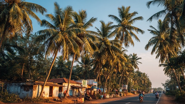Experience Scenic Bliss 5 Must-Do Coastal Road Trips from Bangalore Await You