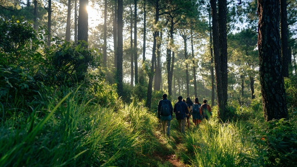 Unveil the Beauty of Karnataka and Beyond with These Top 5 2-Day Trips from Bangalore