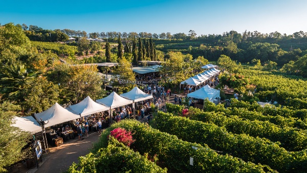 Unveil the Top 5 Vineyard Tours Near Bangalore For A Journey of Wine and Scenic Beauty