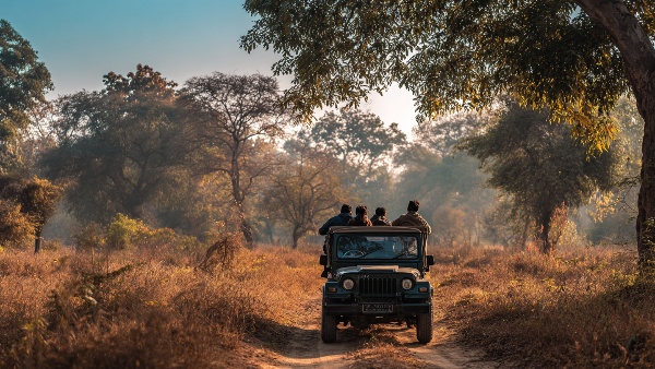 Top 5 Jeep Safaris Near Bangalore for Nature Lovers to Explore Karnataka s Wilderness