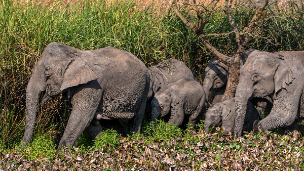 Explore 5 Incredible Short Trips from Bangalore Nature History and Adventure Await