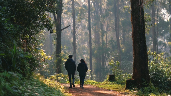 Explore 5 Perfect October Honeymoon Destinations Near Bangalore to Unveil the Magic of Love