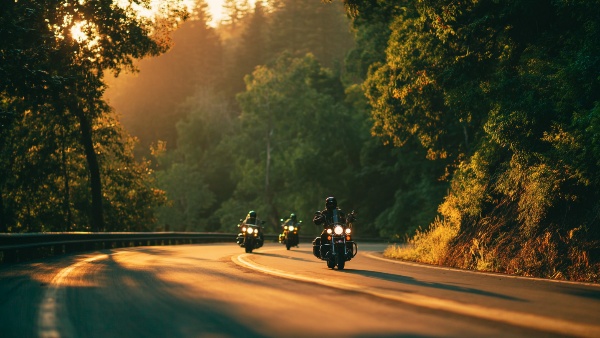 Experience the Ultimate Bangalore to Wayanad Bike Adventure amp amp Find the Routes Attractions and Safety Essentials Experience the Ultimate Bangalore to Wayanad Bike Adventure amp amp Find the Routes Attractions and Safety Essentials