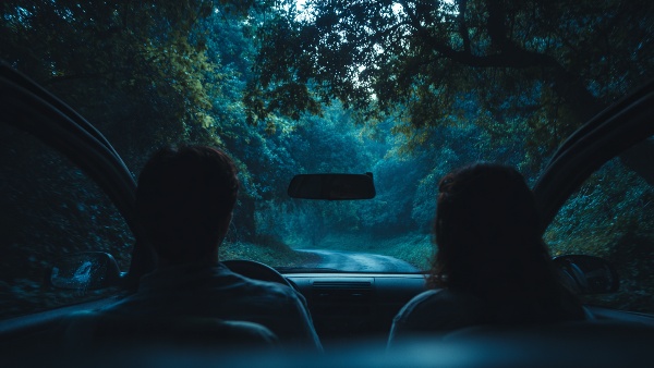 Ensure a Smooth Journey And Gain Key Insights on Bangalore to Wayanad Night Drive Restrictions Ensure a Smooth Journey And Gain Key Insights on Bangalore to Wayanad Night Drive Restrictions