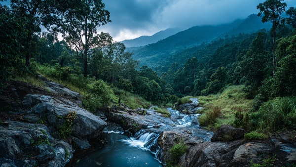 Learn About the 9 Common Mistakes to Avoid on Your Wayanad Road Trip for a Memorable Experience