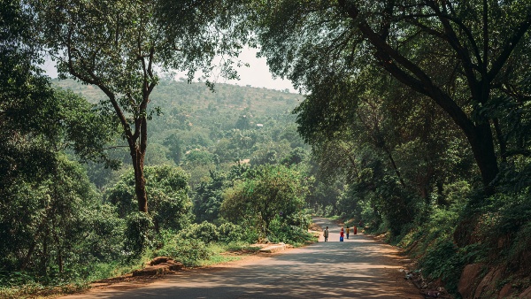 Unveil 5 Scenic Bangalore Traffic-Free Weekend Routes and Travel Tips For a Memorable Weekend Trip