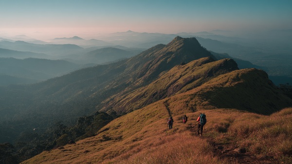 5 Breathtaking Trekking Trails in Wayanad for Bangalore Adventure Lovers