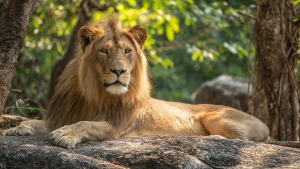 Plan Your Perfect Trip amp amp Consider This Season-Wise Travel Guide from Bangalore to Chennai