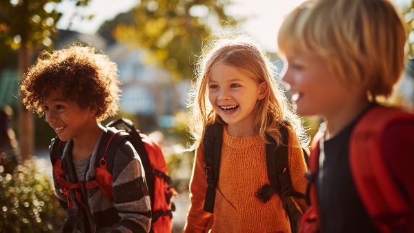 Ditwah Rain Continues as Chennai s Orange Alert Leads to School Closures and Officials Monitor Updates