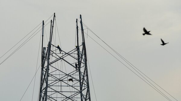 Bengaluru Power Cut on 27 Jan 2026 Scheduled Outages amp amp What to Know