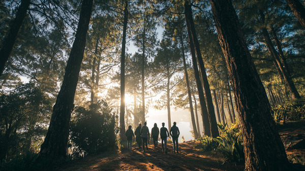 Best Hill Stations in South India for a Short Vacation Best Hill Stations in South India for a Short Vacation