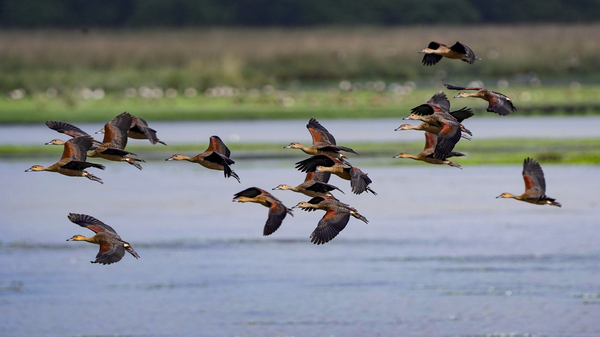 Big Experiences Small Budget Trips from Hyderabad Under 3000