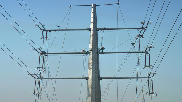 Delhi Power Cut on April 25 2026 Area-wise Schedule Timings and Affected Localities