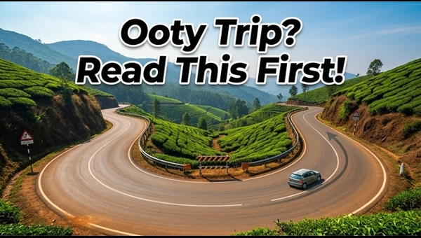 Bengaluru to Ooty travel updates 2026: Kalhatty Ghat closure, new detour routes, and essential tips for a smooth summer hill station drive