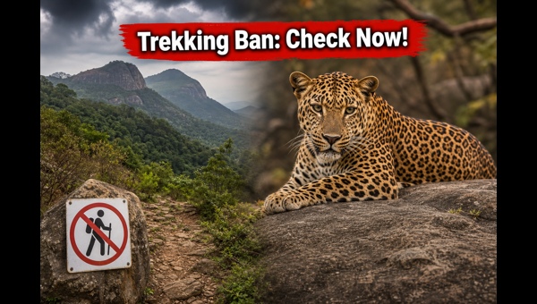 Karnataka trekking trails closure: Essential safety updates for Bengaluru hikers following recent leopard attacks in 2026 Karnataka trekking trails closure: Essential safety updates for Bengaluru hikers following recent leopard attacks in 2026