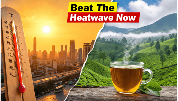 Monsoon 2026 Arrival: Kerala Rain Updates and Best Weekend Escapes from Hyderabad and Bengaluru to Beat the Heatwave Monsoon 2026 Arrival: Kerala Rain Updates and Best Weekend Escapes from Hyderabad and Bengaluru to Beat the Heatwave