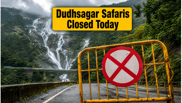 Dudhsagar Falls Jeep Safaris Suspended 2026: Essential Travel Updates and Safety Warnings for Tourists