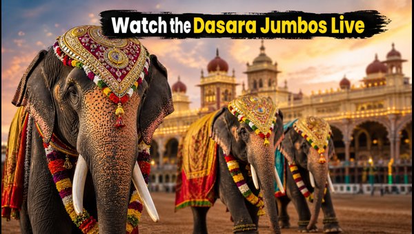 Mysuru Dasara 2026: Complete Guide to Elephant Drills, Palace Illumination, and Travel Tips Mysuru Dasara 2026: Complete Guide to Elephant Drills, Palace Illumination, and Travel Tips