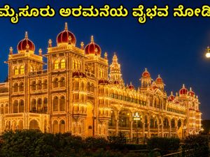 ಸ್ವಾತಂತ್ರ್ಯ ದಿನಾಚರಣೆ: ಮೈಸೂರು ಅರಮನೆಯ ದೀಪಾಲಂಕಾರ ವೀಕ್ಷಣೆಗೆ ಇಲ್ಲಿದೆ ಬೆಸ್ಟ್ ಟಿಪ್ಸ್!