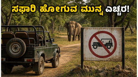 ಬಂಡೀಪುರ, ನಾಗರಹೊಳೆ ಸಫಾರಿ ಪ್ಲಾನ್ ಮಾಡ್ತಿದ್ದೀರಾ? ಈ ಹೊಸ ನಿಯಮ ಮಿಸ್ ಮಾಡ್ಬೇಡಿ!