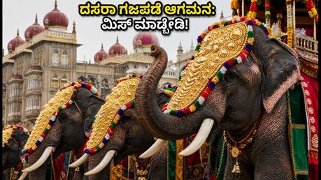 ಮೈಸೂರು ದಸರಾ ಗಜಪಡೆ ಆಗಮನ: ಅರಮನೆ ಪ್ರವೇಶದ ಅದ್ಭುತ ದೃಶ್ಯ ಕಣ್ತುಂಬಿಕೊಳ್ಳಲು ಇಲ್ಲಿವೆ ಬೆಸ್ಟ್ ಟಿಪ್ಸ್!