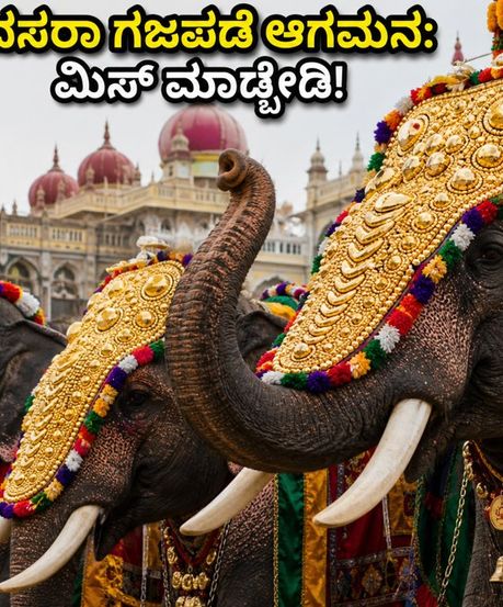 ಮೈಸೂರು ದಸರಾ ಗಜಪಡೆ ಆಗಮನ: ಅರಮನೆ ಪ್ರವೇಶದ ಅದ್ಭುತ ದೃಶ್ಯ ಕಣ್ತುಂಬಿಕೊಳ್ಳಲು ಇಲ್ಲಿವೆ ಬೆಸ್ಟ್ ಟಿಪ್ಸ್!
