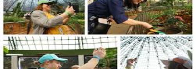 Butterfly Park: ಬೆಂಗಳೂರು ಸೇರಿದಂತೆ ಈ ಭಾಗಗಳಲ್ಲಿಯೂ ಸುಂದರವಾದ ಚಿಟ್ಟೆ ಪಾರ್ಕ್‌ಗಳಿವೆ…ಮಕ್ಕಳನ್ನೂ ಇಲ್ಲಿಗೆ ಕರೆದುಕೊಂಡು ಹೋಗಿ