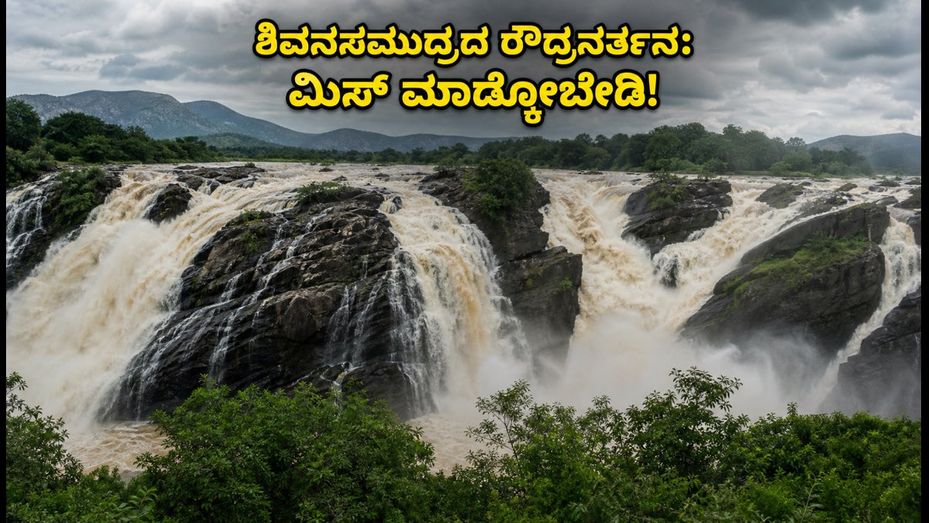 ಕಾವೇರಿ ಆರ್ಭಟ: ಶಿವನಸಮುದ್ರ ಜಲಪಾತದ ಸೌಂದರ್ಯ ಸವಿಯಲು ಹೋಗುವ ಮುನ್ನ ಈ ಎಚ್ಚರಿಕೆ ತಪ್ಪದೇ ಓದಿ!
